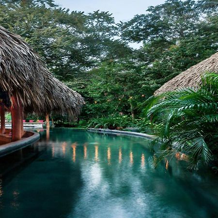 The Space Jungle Oasis San Juan del Sur Kültér fotó